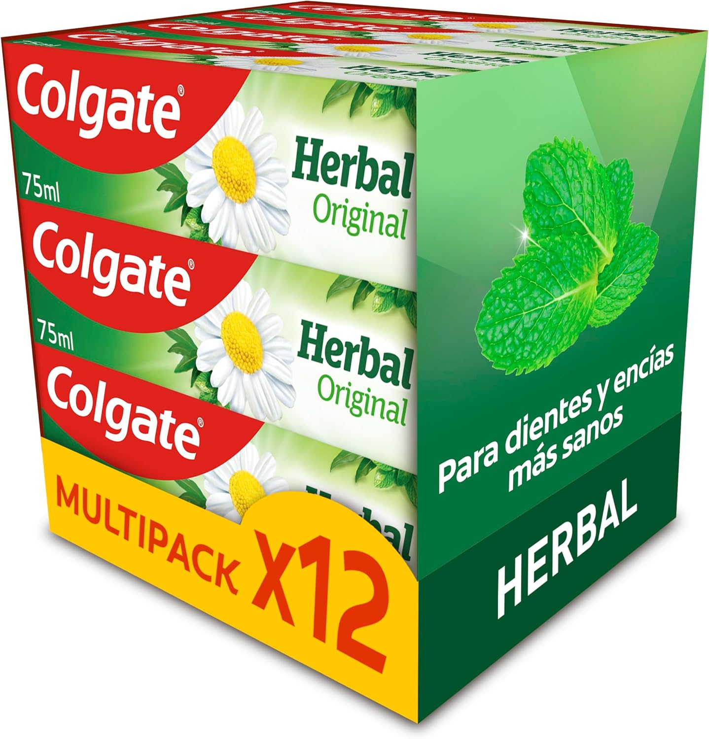 Colgate ▫️ Herbal Toothpaste 12x75ml Embalagem| Combina a ciência dos cuidados orais e a natureza | Ajuda a manter os dentes fortes | Ajuda a manter as gengivas saudáveis | Sabor fresco a eucalipto